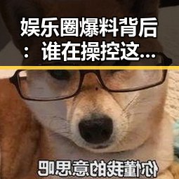 娱乐圈爆料背后：谁在操控这些神秘的瓜？