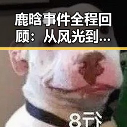 详细阅读:鹿晗事件全程回顾:从风光到争议的演变过程 鹿晗事件全程回顾:从风光到争议的演变过程